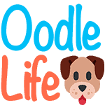 OodleLife logo
