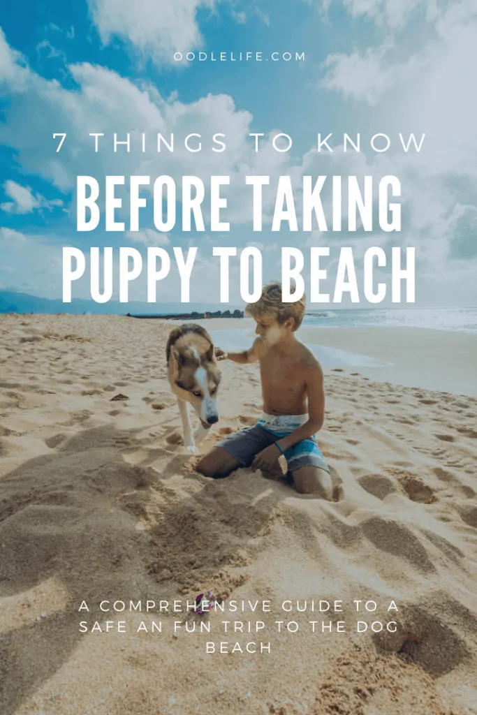 Infographic showing what to know before puppy beach trip