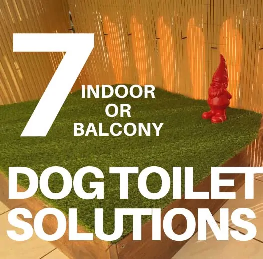 7 Best DIY Dog Toilet Solutions (Indoor or Porch Potty)