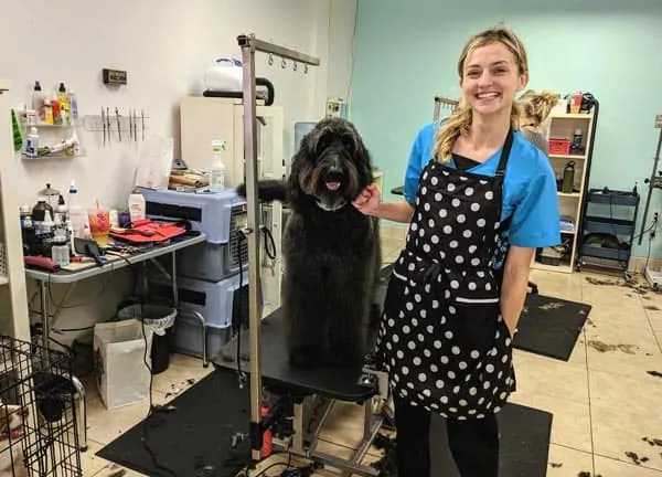 what size grooming table for goldendoodle