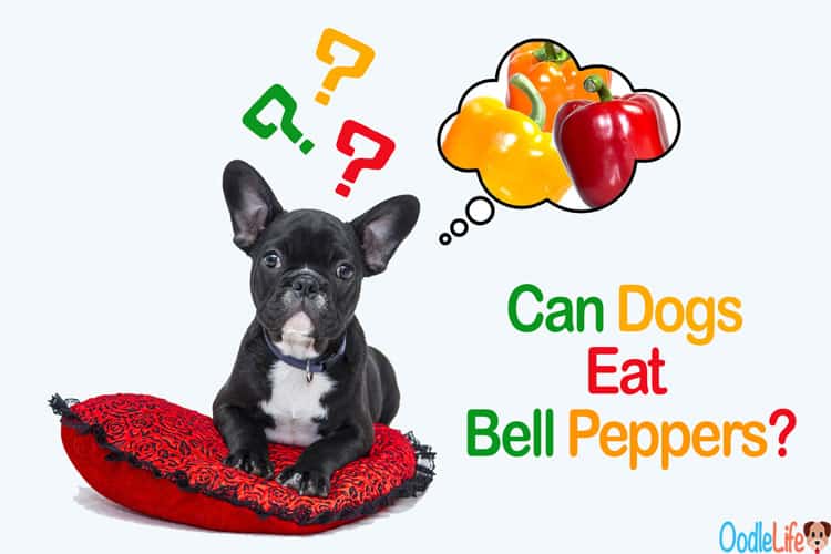 are red and green peppers bad for dogs