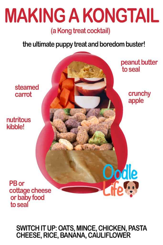 KONG Dog Toy & Peanut Butter Combo – For Shelter Dogs – Sizes XS To XL – Made In USA