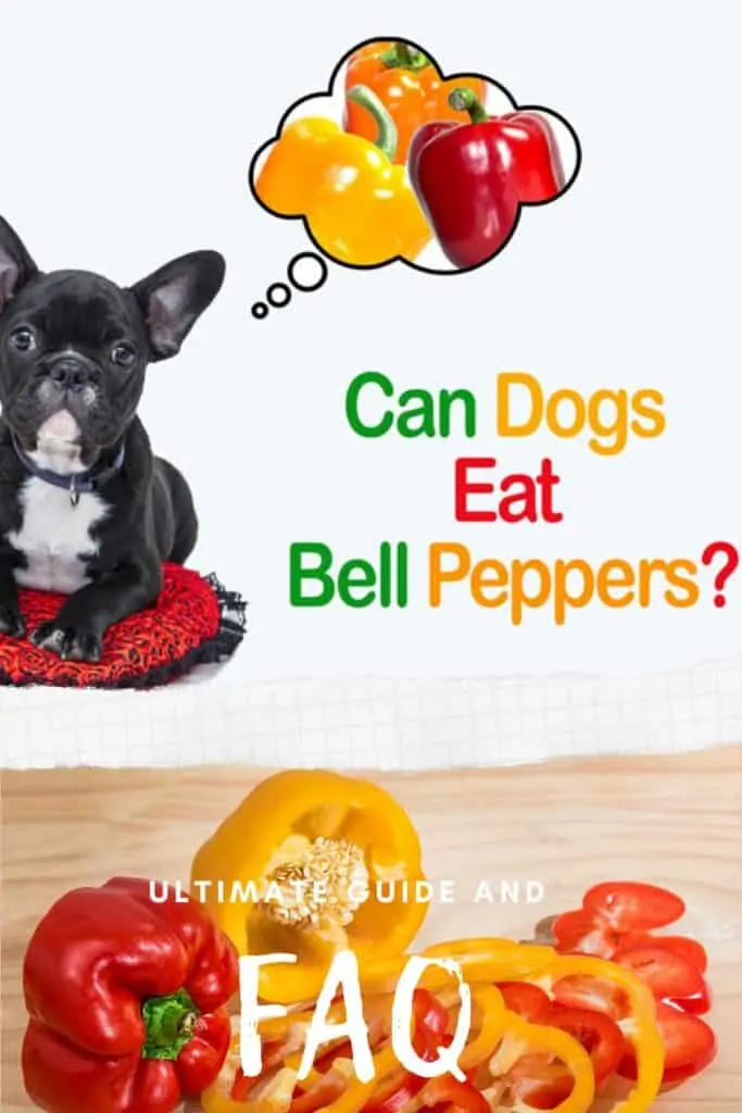 can dogs eat orange bell peppers