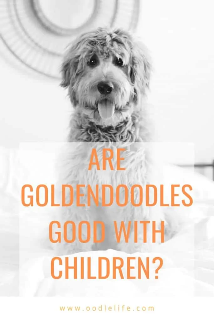 are goldendoodles good with kids