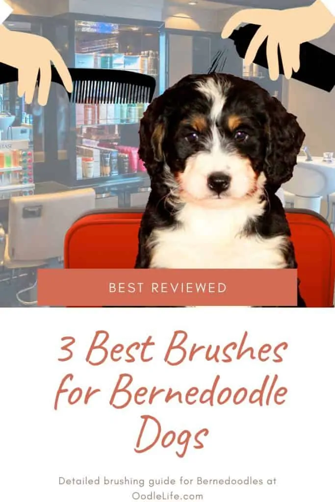 best brushes for bernedoodle dogs and puppies