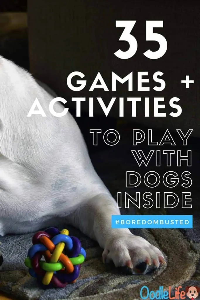 best indoor dog games