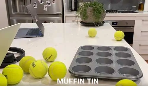 Muffin Tin Game for Dogs - Simple Scent Mental Enrichment Game How To Play 1