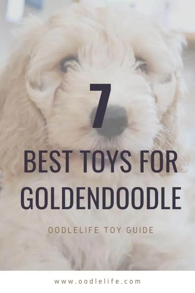 best toys for goldendoodle