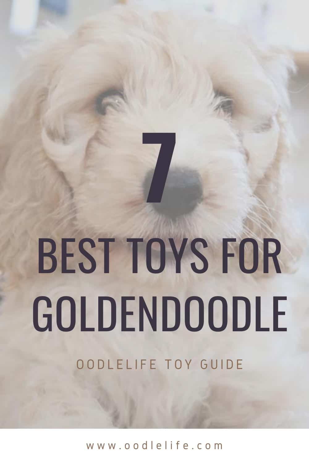 white goldendoodle stuffed animal