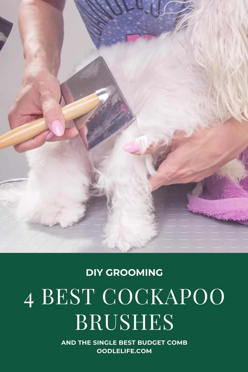 The 4 Best Brushes For Cockapoos (and The Best Comb) You Will Ever Buy