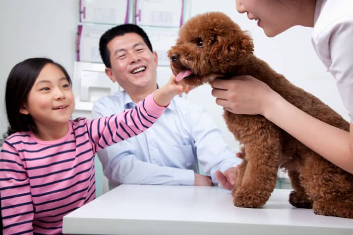 puppy at the vet with owners one adult one child