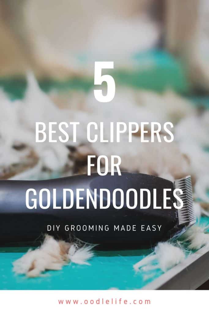 dog clippers for goldendoodle