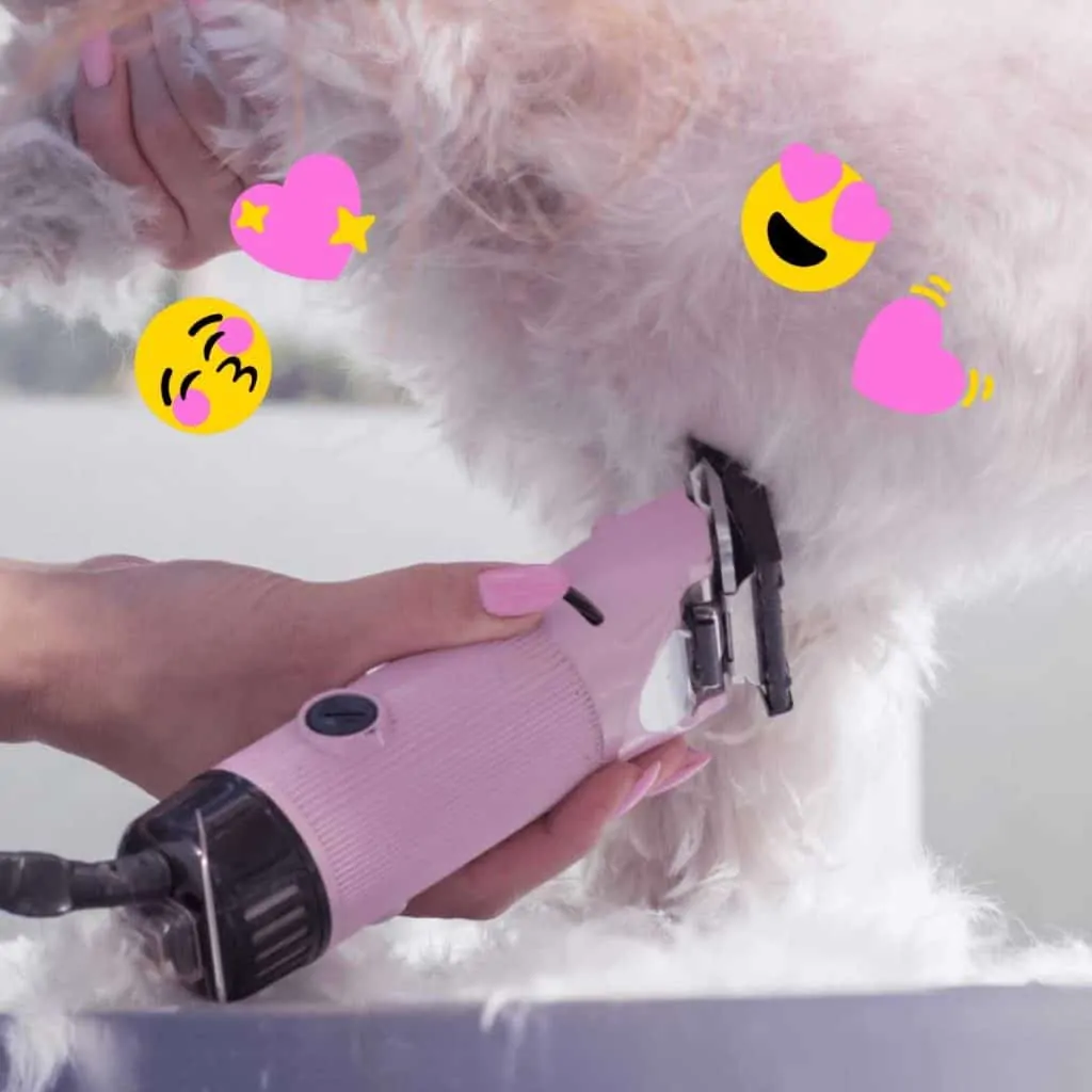 5 Best Dog Clippers for Goldendoodle - DIY Grooming Guide 2
