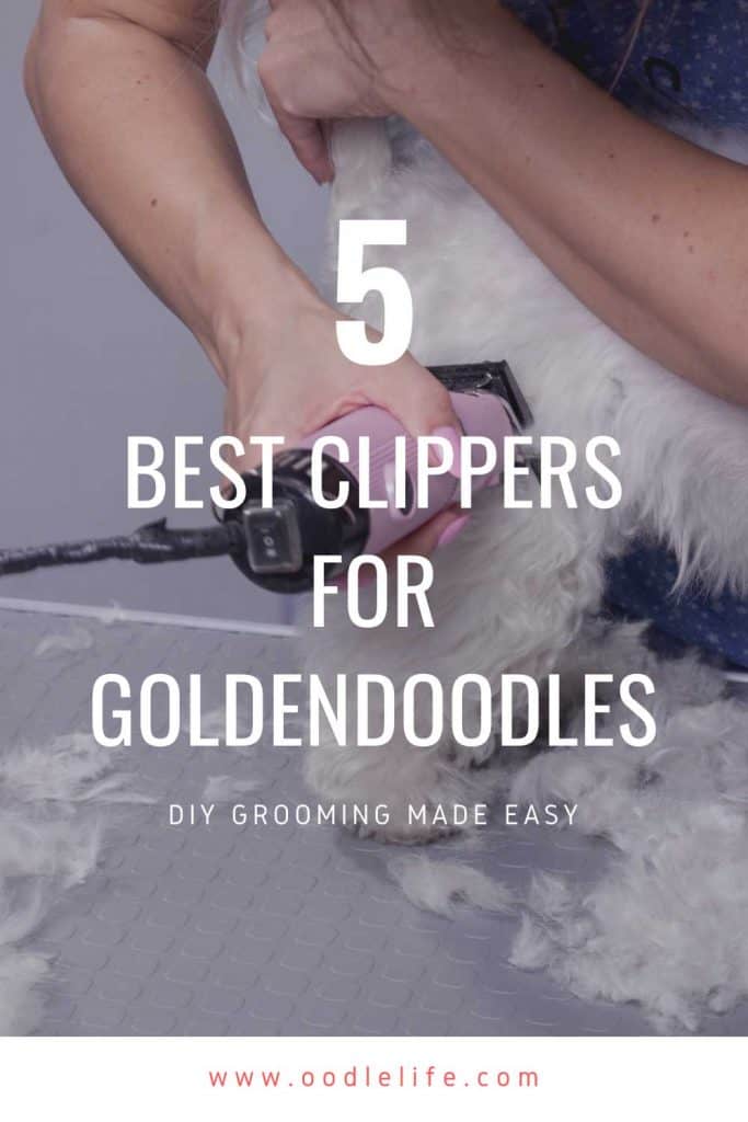 budget clippers for goldendoodle