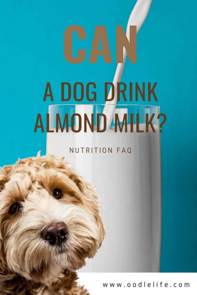 unsweetened almond milk for dogs