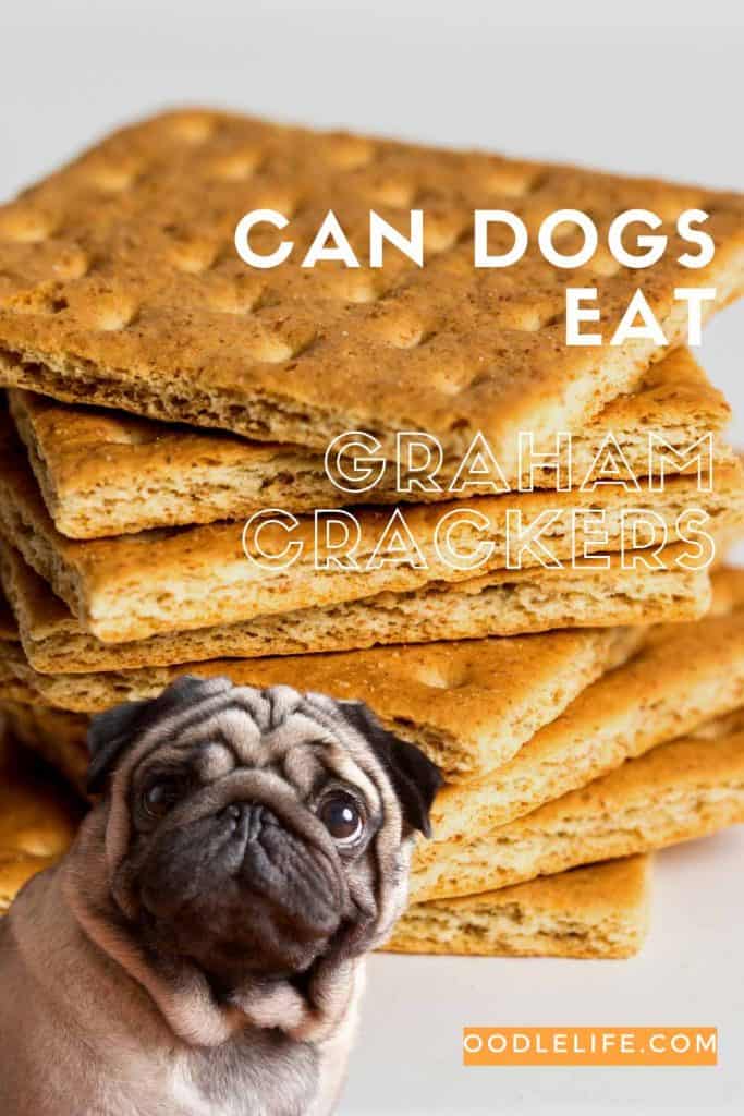 dogs and graham crackers