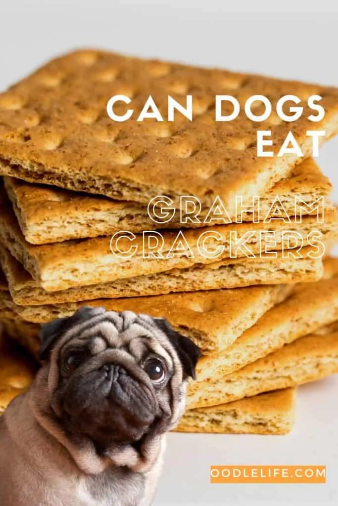 can dogs eat graham crackers