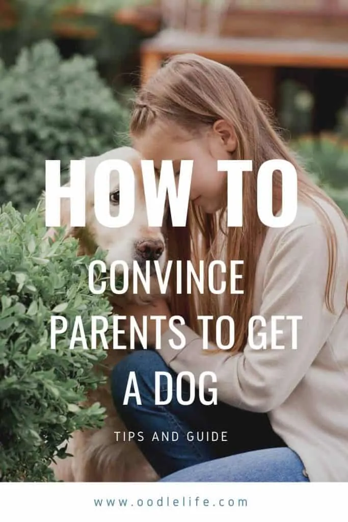 how to convince your parents to get a dog