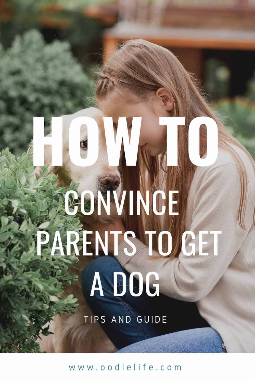 7 Tips on How To Convince Your Parents to Get a Dog