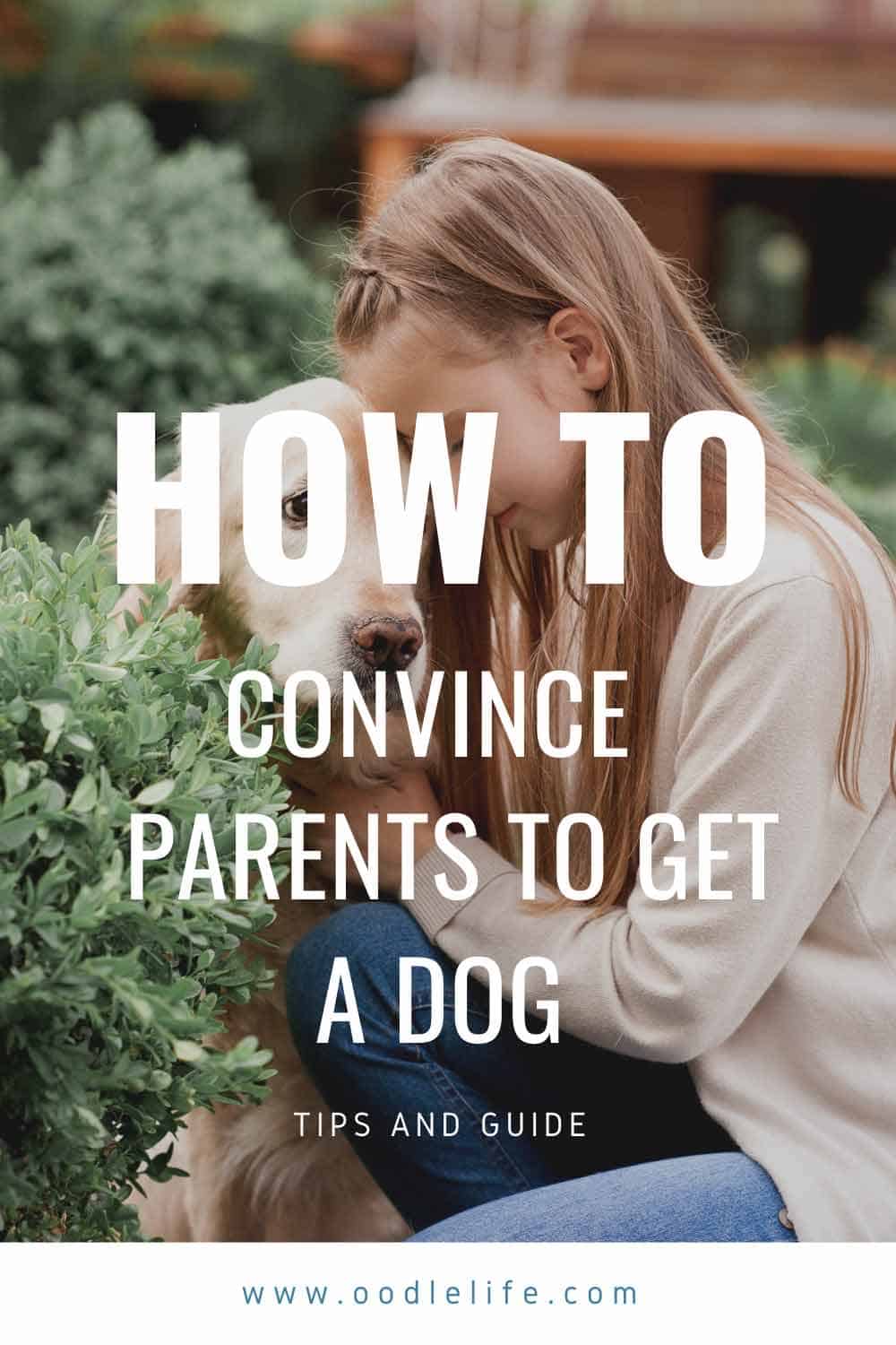 how to convince your parents to keep your dog