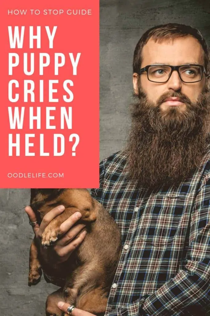 puppy cries when held