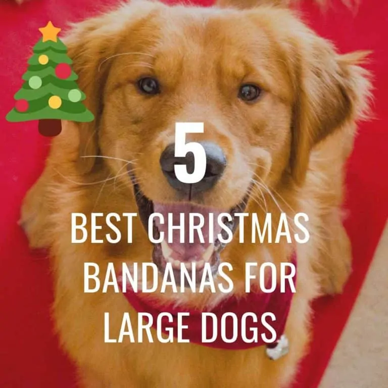 Best Christmas Bandanas for Large Dogs
