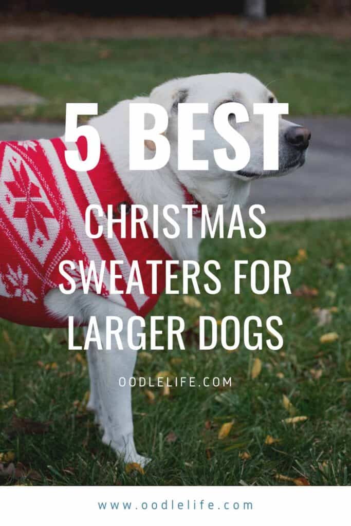 dog christmas sweaters large
