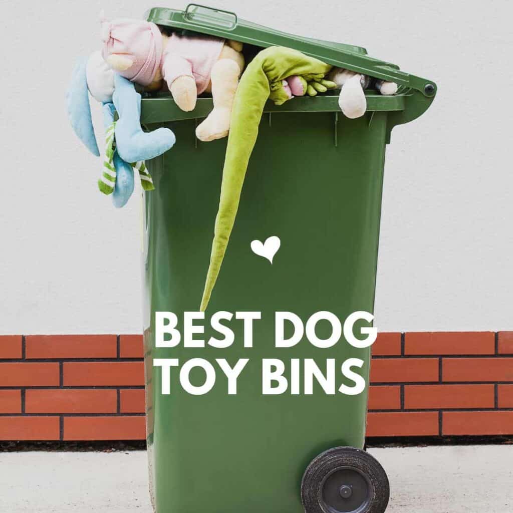dog toy storage bin