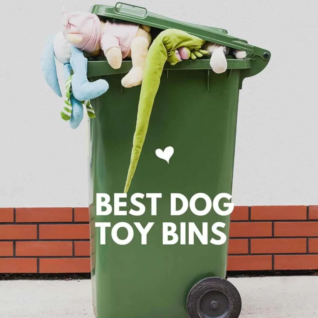 dog toy bins