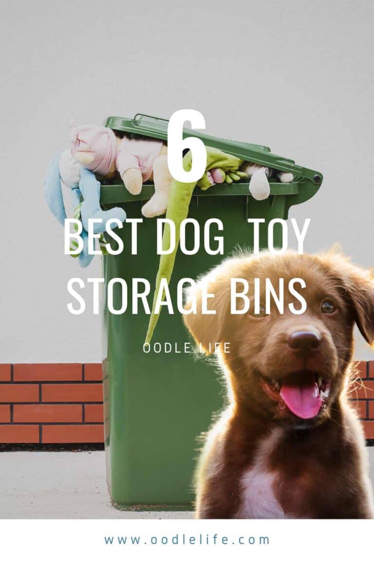 dog toy storage bin