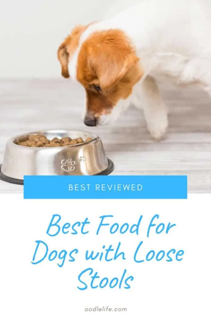 best dry dog food for loose stools