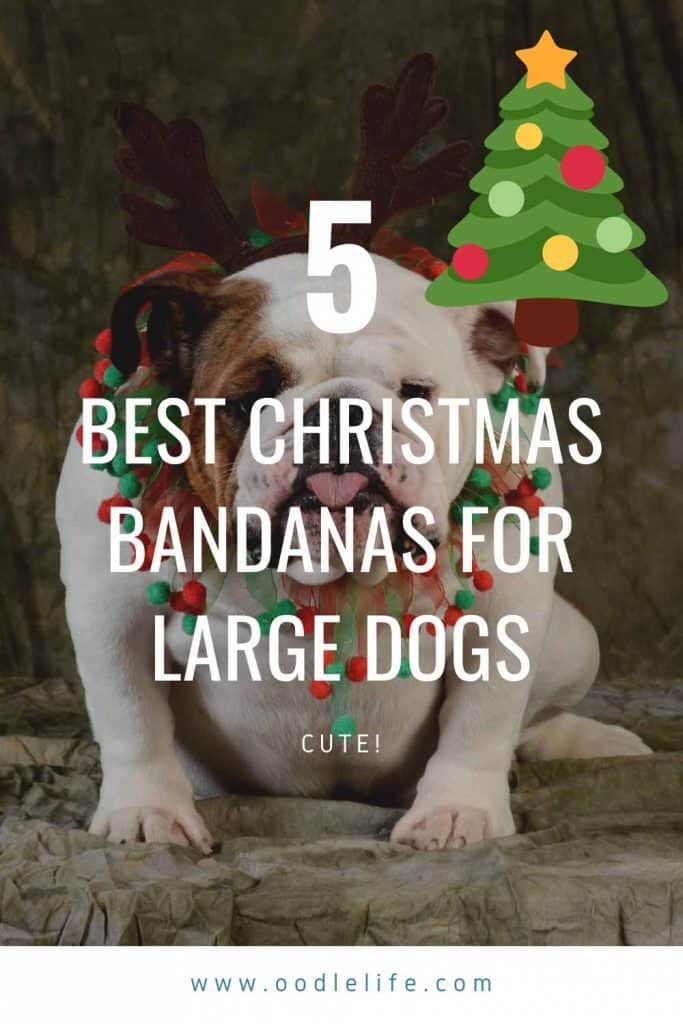 best christmas bandanas for large dogs