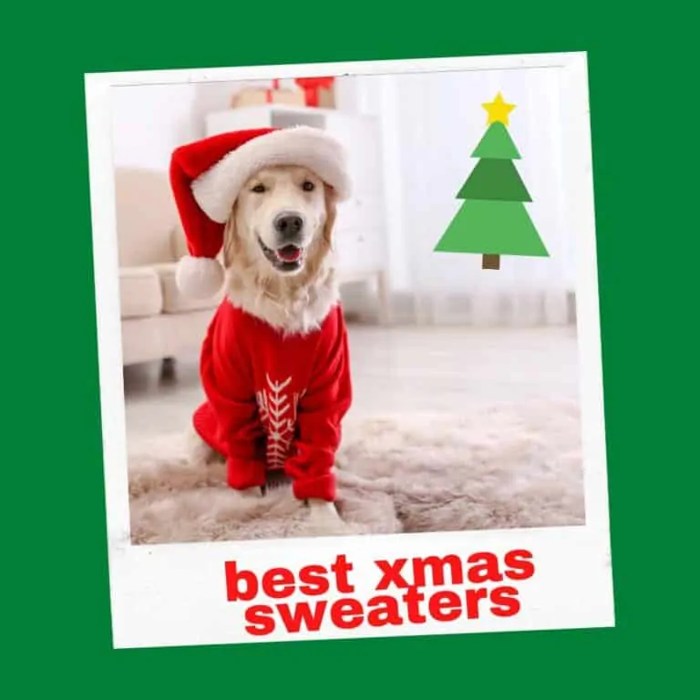 Best Dog Christmas Sweaters Large Breeds (5 Best Reviewed!)