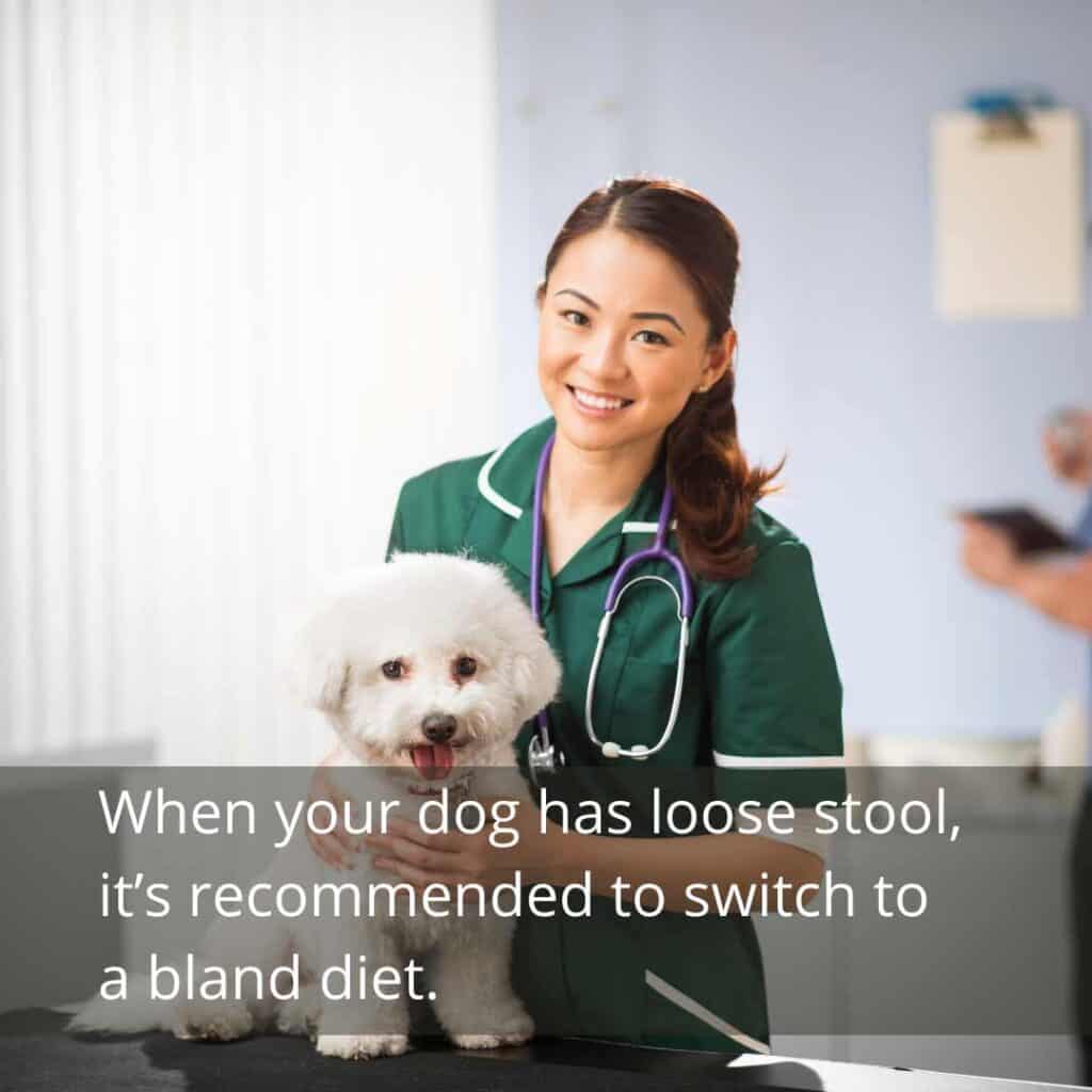 bland diet recommended
