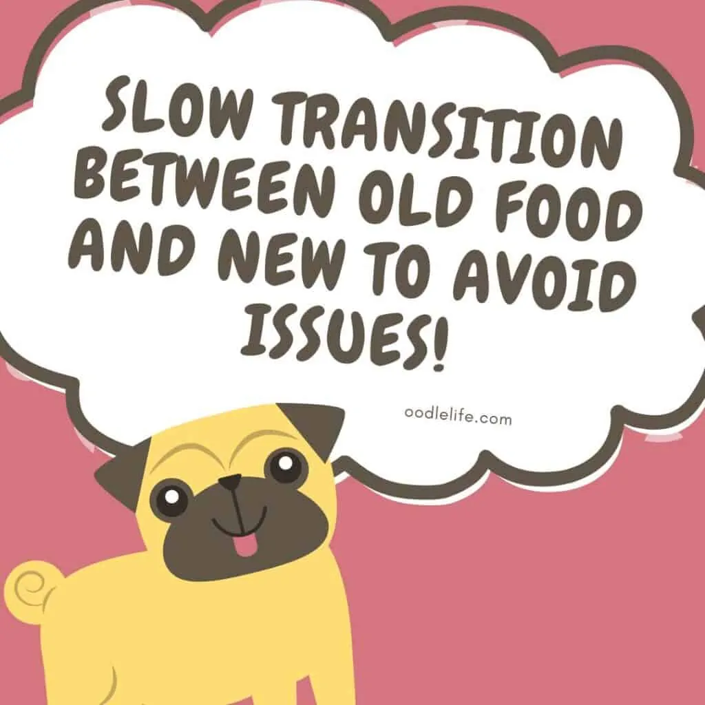 slow transition between old and new puppy food