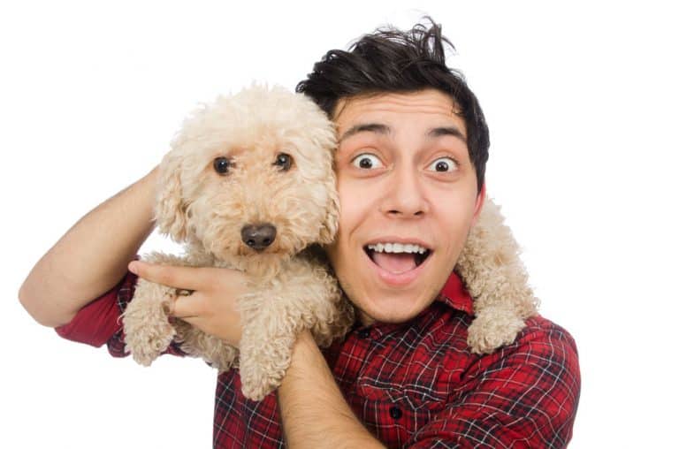 Dog Yelps When Picked Up [What To Do]
