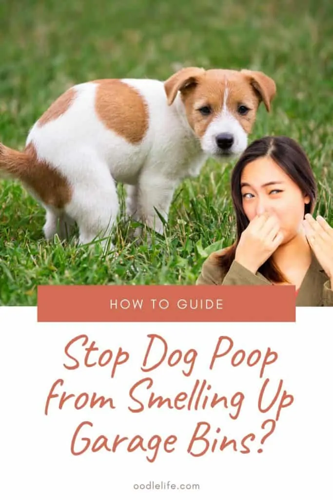 how to keep dog poop from smelling up garage