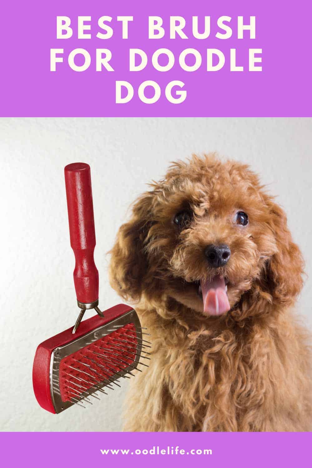 Best Brush For Doodles And The One Detangle Spray You Must Have Oodle Life