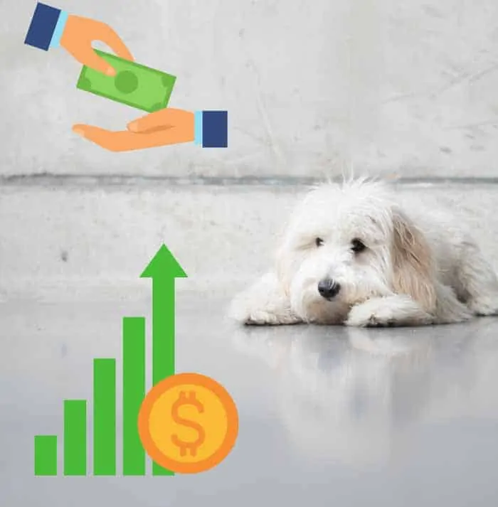 how much do goldendoodles cost per year