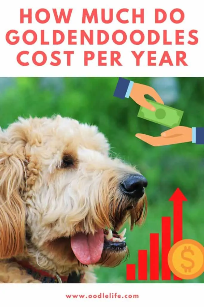 how much do goldendoodles cost per year