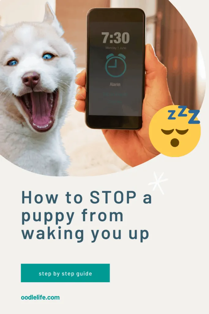 puppy wakes me up