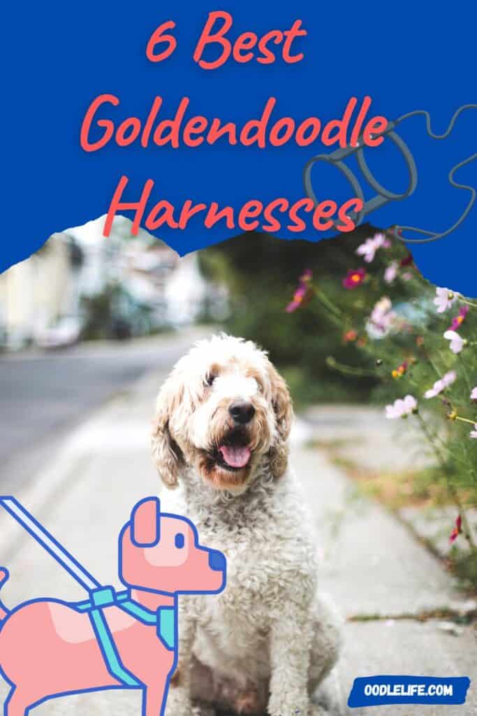 best dog harness for goldendoodles