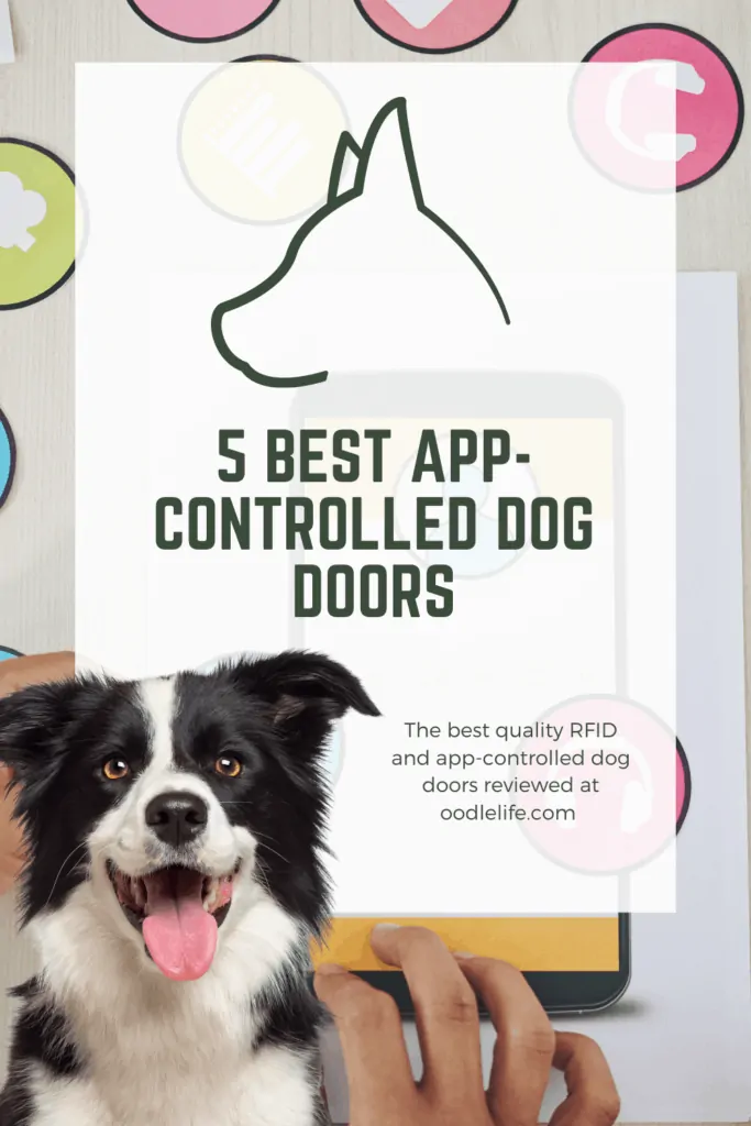 best app-controlled dog door