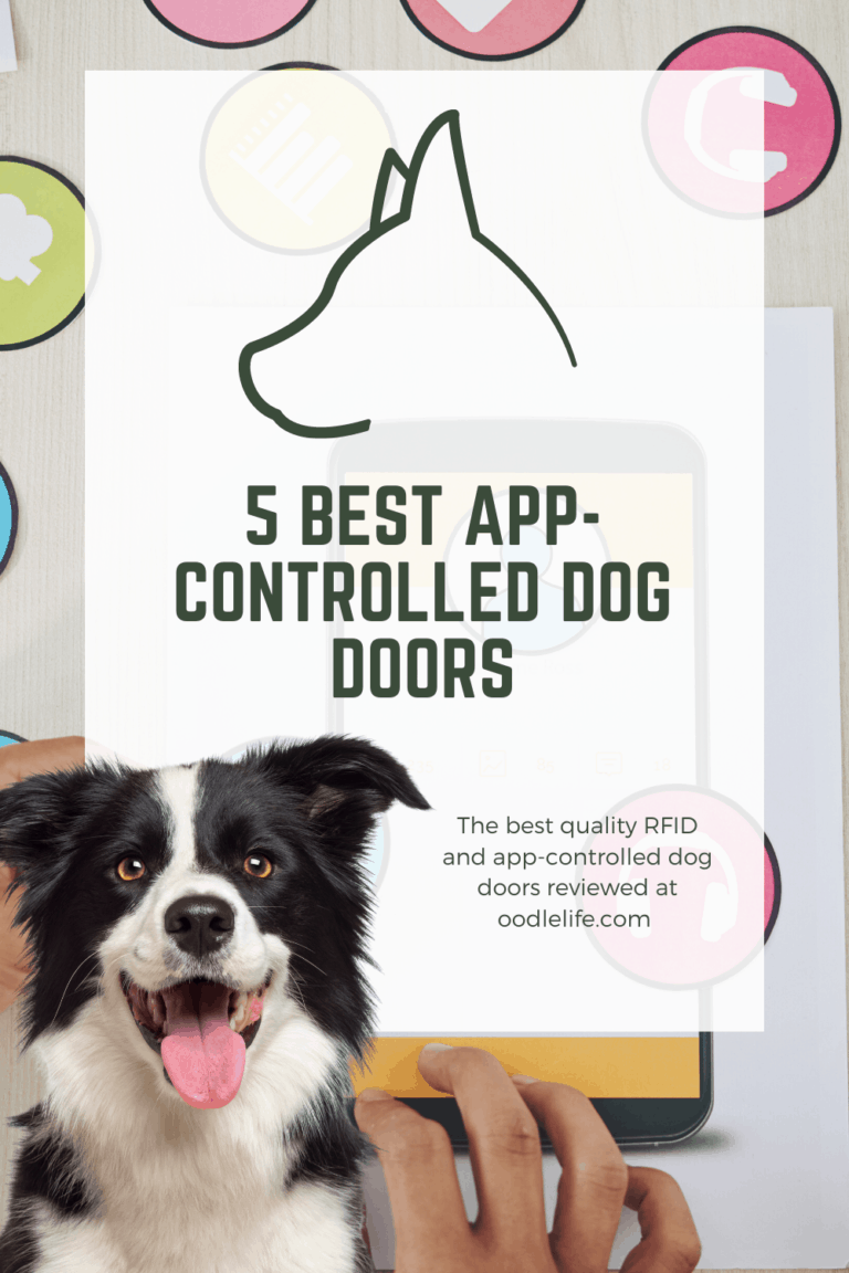 4 Best AppControlled Dog Doors (and RFID Pet Doors) Oodle Life