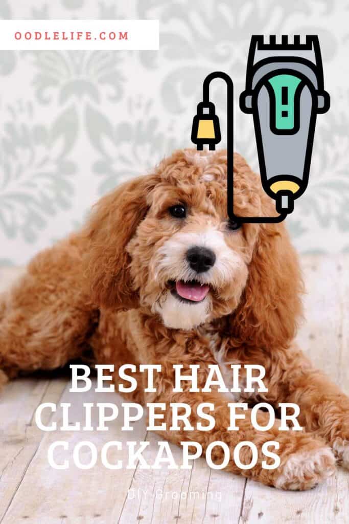 best dog hair clippers for cockapoo uk