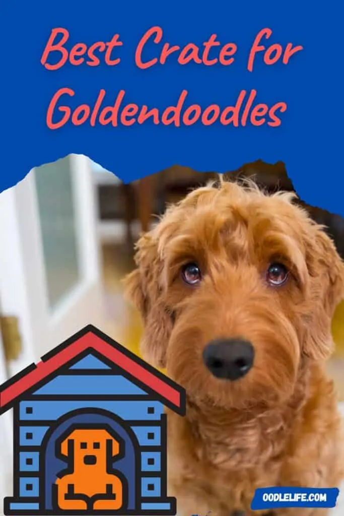 best crate for goldendoodles