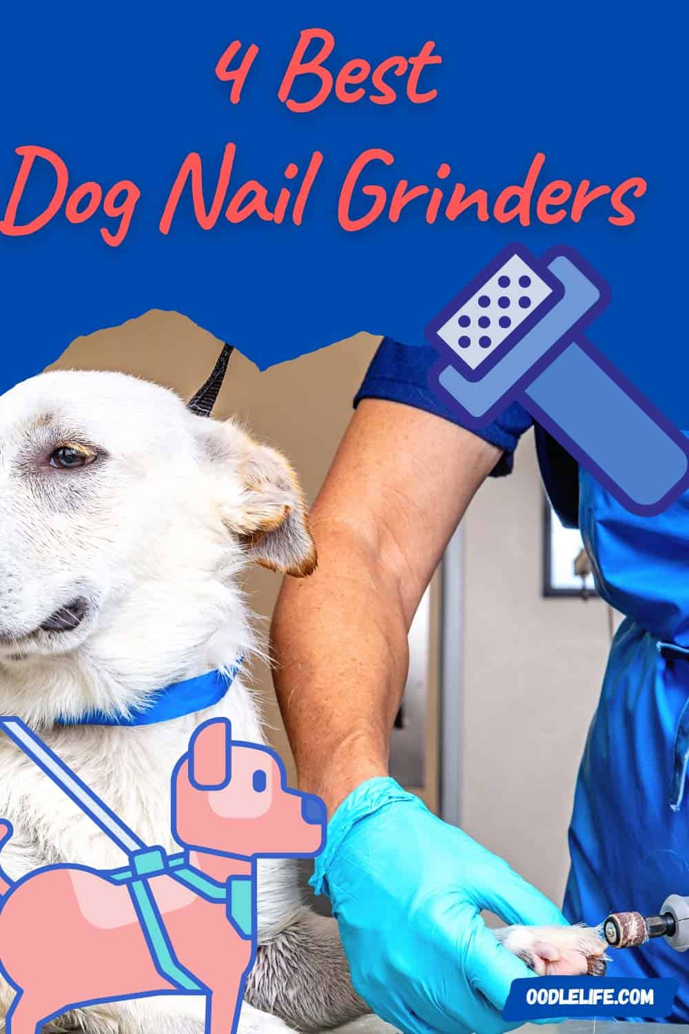 Best Dog Nail Grinder (Top 4 Electric Nail File For Dogs) Oodle Life