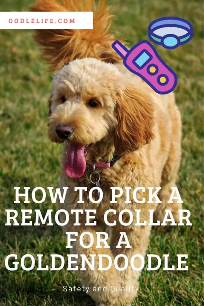 remote collar for goldendoodle