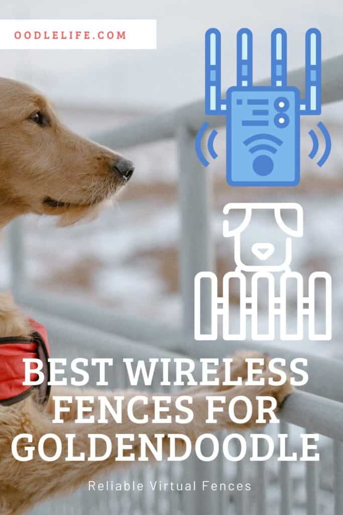 strongest wireless dog fence