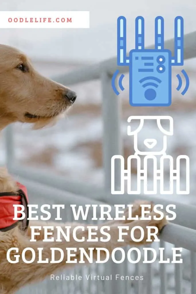 best wireless dog fence